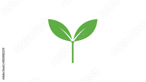 Young green seedling with two leaves on a white background, symbolizing growth, sustainability, and new beginnings