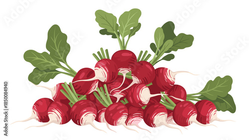A vibrant pile of fresh radishes with green leaves offers a healthy and colorful addition to any garden or culinary creation.