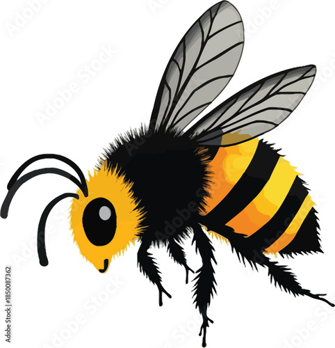 Vector art of a fuzzy yellow and black striped bee flying, isolated on white background
