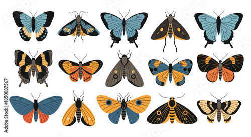 Collection of diverse butterfly and moth species displayed in a grid with various wing patterns and colors ranging from blue to orange.
