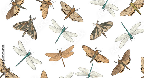 Seamless pattern of hand-drawn moths and dragonflies with detailed wing textures scattered across a clean white background for decor.
