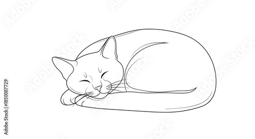 Peaceful line art illustration of a sleeping cat curled up comfortably, perfect for cozy home decor and pet related graphic design.