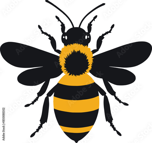 Vector art of a graphic vector illustration of a bee with yellow and black stripes, isolated on white background