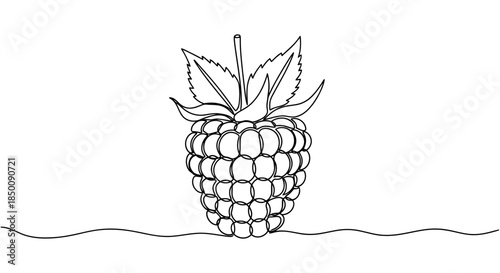 Elegant single line art illustration of a delicious raspberry with delicate leaves Vector