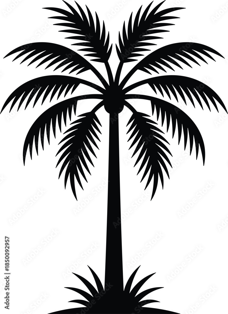 Obraz premium Palm tree silhouette with symmetrical tropical fronds isolated on white background, elegant black vector nature illustration