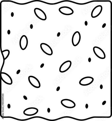 Moss Surface Natural Texture