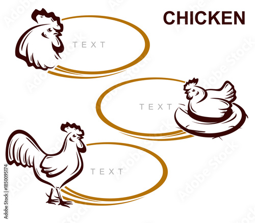 Chicken labels and icon set. Collection icons chicken. Vector