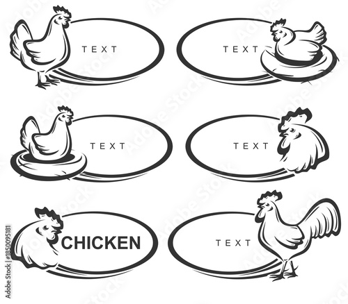 Chicken labels and icon set. Collection icons chicken. Vector