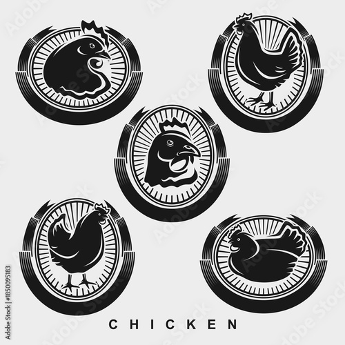 Chicken labels and icon set. Collection icons chicken. Vector
