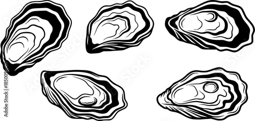 set of oyster shell icon vector illustration isolated on white background

