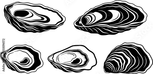 set of oyster shell icon vector illustration isolated on white background
