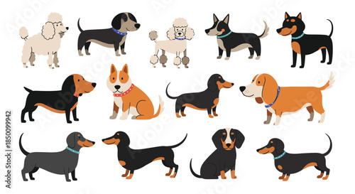 Vibrant cartoon dogs from various breeds gather in a playful lineup for a bright cheerful group illustration showcasing poodles pugs corgis dachshunds.