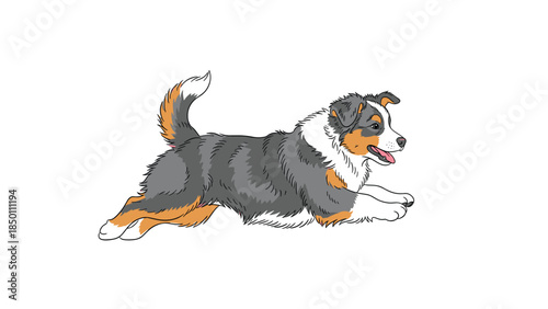 Illustration of a happy Australian Shepherd dog with blue merle coloring running playfully across a clean white background.