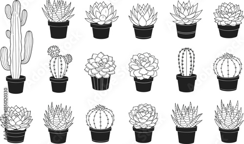 Cactus illustration, succulent plants, black and white, potted design, botanical sketch, desert flora, indoor gardening, nature art, minimal, decorative