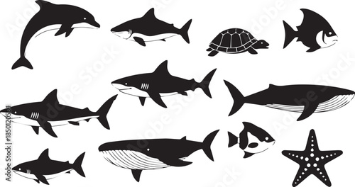 Collection of silhouetted ocean marine life animals including whales dolphins sharks and fish