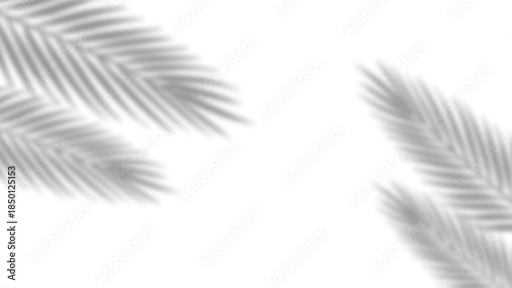Obraz premium Realistic palm leaves shadow with overlay effect summer decoration element vector art. Gray and white elegant tropical coconut leaf and branches blur shadow background. Vector illustration.