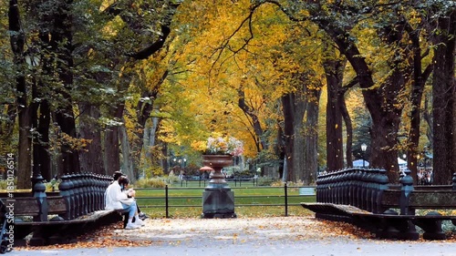 Autumn panorama in Central Park, New York City, United States of America. Unrecognizable people sitting in a beautiful public park at fall season, 4K.