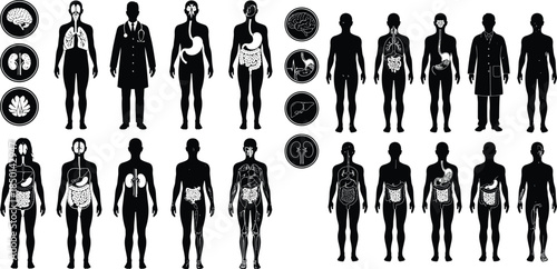 Black silhouettes of human body showing various internal organs with doctors and diagram icons