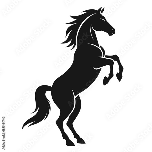 Rearing stallion horse dramatic upright pose strong equine symbol silhouette illustration