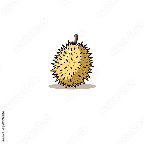 Isolated durian illustration with its spiky outer shell, conveying the unique and exotic appeal of