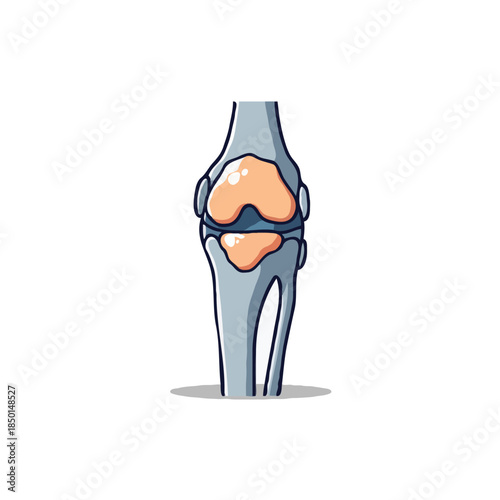 Stylized artistic knee joint illustration showcasing human anatomy, medical depiction highlighting