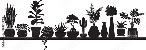 Collection of Silhouette Houseplants in Pots on a Shelf, Diverse Indoor Plants for Home Decor and Green Spaces