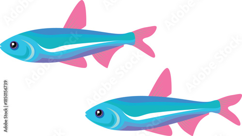 vector illustration of a cartoon shark