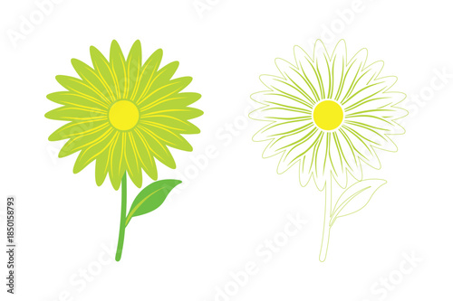 Two simple yellow flowers Vector
