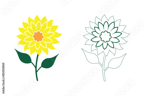 Two sunflowers, one colored and oneoutlined Vector