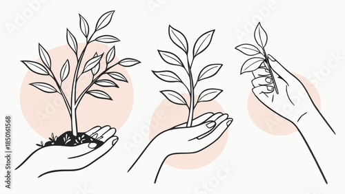 Hands Nurturing Seedling for Growth and Sustainability, Eco-Friendly Business Development, Hopeful Future, Green Initiative, Environmental Care, Organic Farming