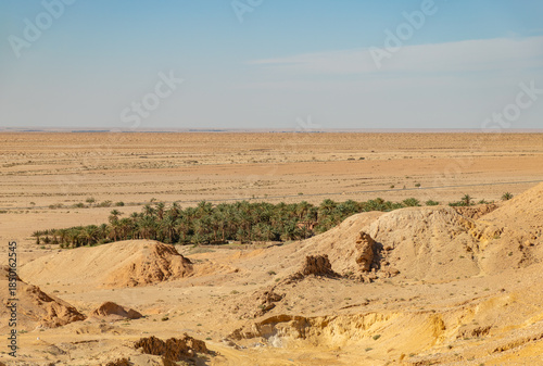 Chebika Oasis in Tunisia