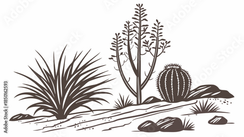Arid Desert Landscape Illustration with Cactus Agave and Native Plants. Natural Environment Drawing for Travel Tourism Branding and Web Design.