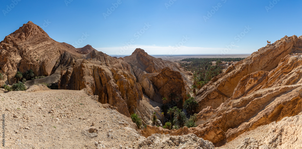 Obraz premium Chebika Oasis in Tunisia