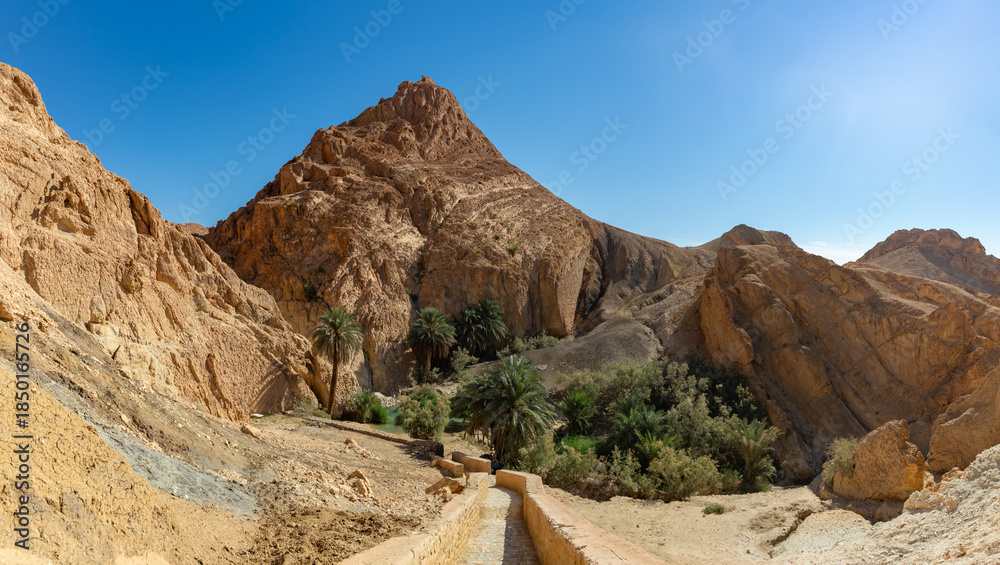 Fototapeta premium Chebika Oasis in Tunisia
