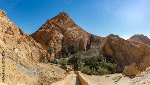 Chebika Oasis in Tunisia