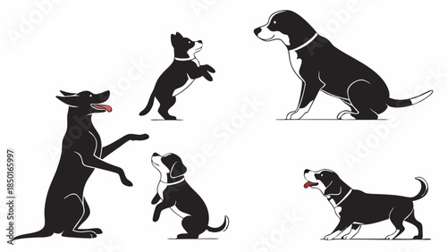 Black and White Dogs and Puppies Playing and Training. Cute Pet Companionship for Veterinary, Animal Care, and Dog Training Websites.