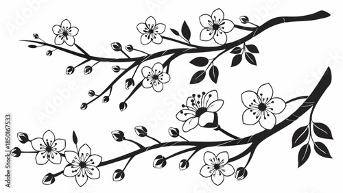 Delicate Cherry Blossom Branches Springtime Beauty for Floral Design Websites Invitations and Nature Themed Marketing Campaigns