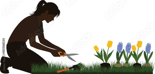 Gardening silhouette illustration, kneeling person trimming plants, flower patch scene, black vector design, outdoor care activity, nature lifestyle concept