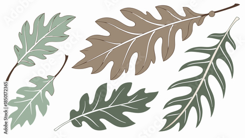 Oak Leaves Collection Autumnal Forest Foliage Set for Seasonal Design Projects Nature Backgrounds Website Graphics