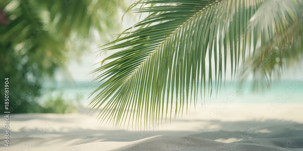 Fototapeta premium Palm fronds in a lush greenery scene, highlighting environmental sustainability