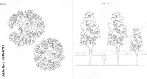 Architectural drawing of two stylized trees from above and a landscape scene with trees and a person