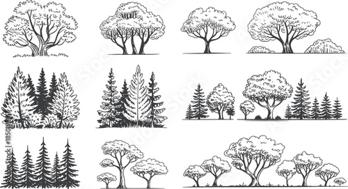 Collection of Hand Drawn Trees and Forest Scenes in Black and White Sketch Style nature drawing