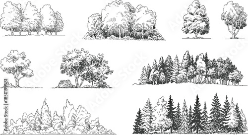Collection Of Hand Drawn Trees And Forest Scenes In Sketch Style nature drawing