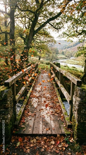 Scenic Autumn Bridge Overstream Surrounded by Vibrant Foliage