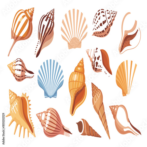 Collection of various seashells in different shapes and sizes, showcasing natural textures and colors, including spiral, fan, and conch shells, isolated on pristine white background