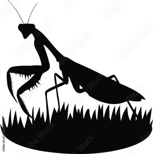 Elegant praying mantis insect standing gracefully on blades of grass in a natural habitat