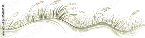 Gentle watercolor waves and sea grass on a white background beach dune