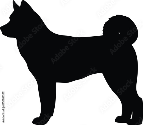 Elegant standing profile silhouette of a majestic Akita Inu dog breed ready for action