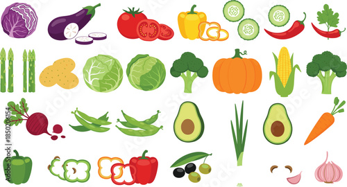 Large set of fresh vegetable vector illustrations featuring tomato broccoli carrot pumpkin and avocado isolated on white background for healthy cooking recipes and grocery store branding