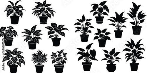 Collection of various potted plant silhouettes, interior design elements, botanical illustrations and clip art